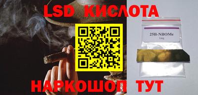 стаф Кимры