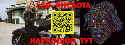 стаф Кимры