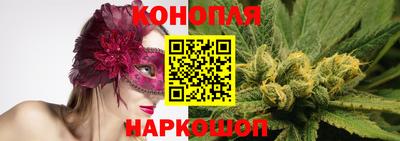 стаф Кимры