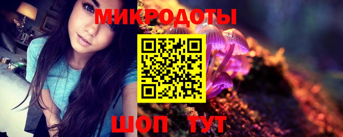 Псилоцибиновые грибы Psilocybine cubensis Краснознаменск