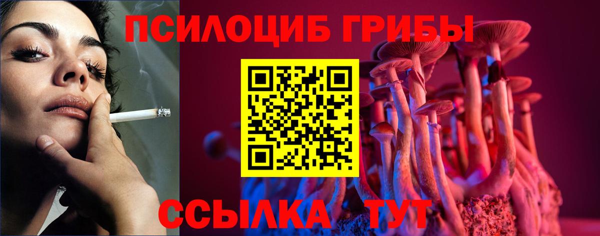 Краснознаменск  Псилоцибиновые грибы мицелий  Вход с VPN 